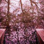 Motion5：『PNG』素材で背景の透過した書き出し共有をする方法 